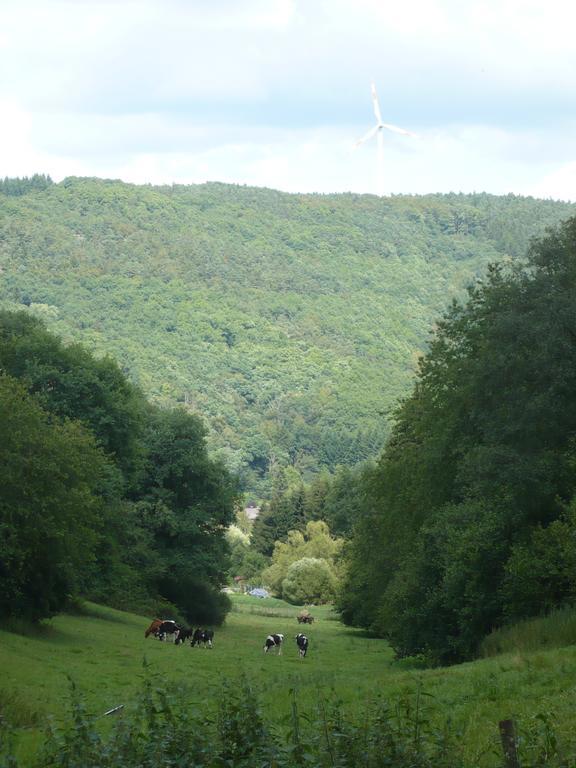 Ferienwohnungen Meindl Idar-Oberstein Habitación foto